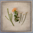 Fynbos on Linen 2 - 100x100cm Art Print