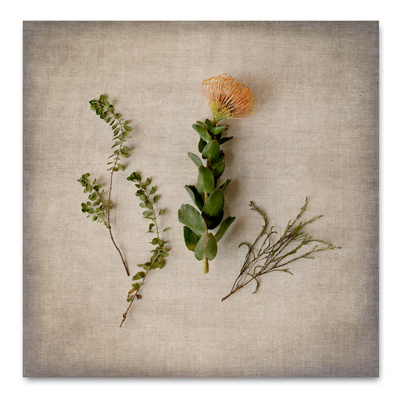 Fynbos on Linen 4