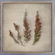 Fynbos on Linen - 2x Large Square Art prints