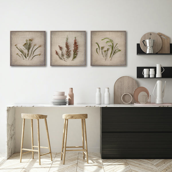 Fynbos on Linen - 3x Small Square Art prints