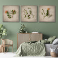 Fynbos on Linen 6