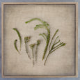 Fynbos on Linen - 3x Small Square Art prints