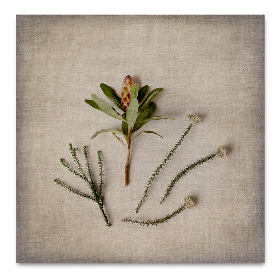 Fynbos on Linen 8