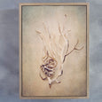 Gifts of the Sea 2