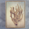 Gifts of the Sea 4