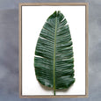 Greenery - 1x Large Art print, set 2