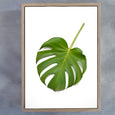 Greenery - 9x A5 Art prints