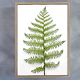 Greenery - 9x A5 Art prints