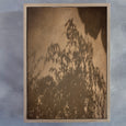 Haven - 2x Large Art Prints