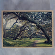Into the Woods - 100x150cm Art print