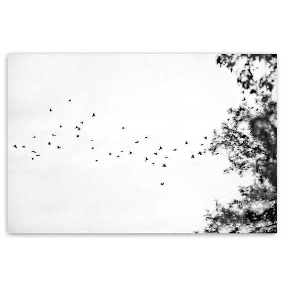 Land Ink 2