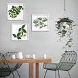 Square Leaves 1