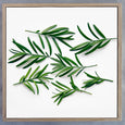 Square Leaves 2