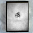 Lone Tree 1 BW