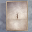 Lone Tree 2 WARM