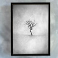 Lone Tree - 2x Large Art prints