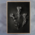 Mono Pins PT - 100x150cm Art print