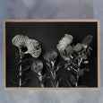 Monochrome Pins 3