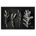 Monochrome Pins 4