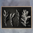 Monochrome Pins 4