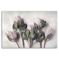 Pale Proteas 3