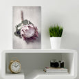 Pale Proteas 1