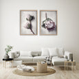 Pale Proteas 2
