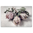Pale Proteas 4