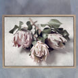 Pale Proteas 4