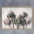 Pale Proteas - 2x Large Art Prints, set 3
