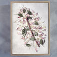 Protea Anatomy - 2x Large Art Prints, set 1
