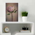 Protea Still