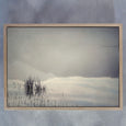 Quintessentially Quiet - 100x150cm Art print