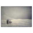 Quintessentially Quiet - 100x150cm Art print