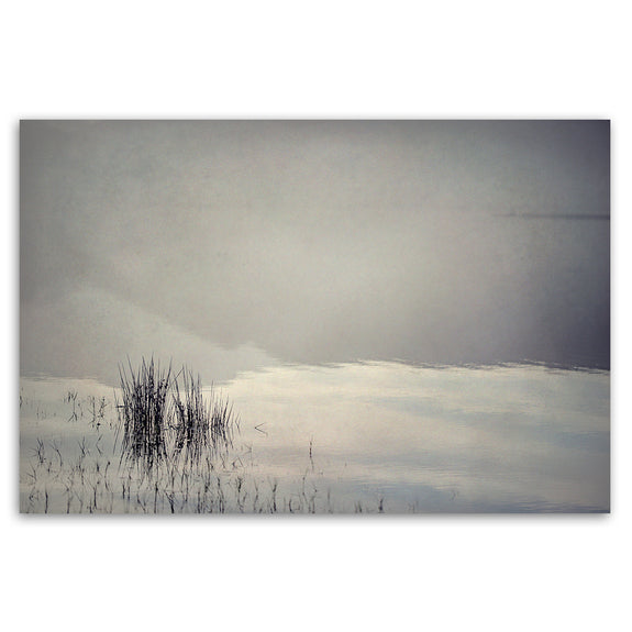 Quintessentially Quiet 1
