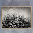 Reaching Trees LS