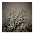 Reaching Trees Square 1