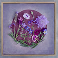 The Secret Garden - 4x Square Art prints