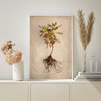 Succulent Study 4