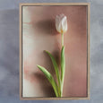 Watercolour Wash Tulips - 3x Art prints, various sizes