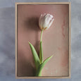 Watercolour Wash Tulips 3