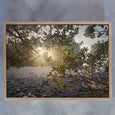 Window - 2x Large Art prints