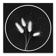 Black & White Rounds - 2x square Art Prints