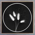 Black & White Rounds - 2x square Art Prints
