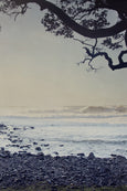 Earthsongs Sanctuary - 2x Large Art prints