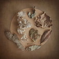 The Secret Garden - 6x Small Square Art prints