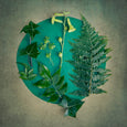 The Secret Garden - 6x Small Square Art prints