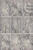 Shadowplay Gallery Wall - 7x Art prints