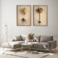 Succulent Study - 2x Large Art Prints