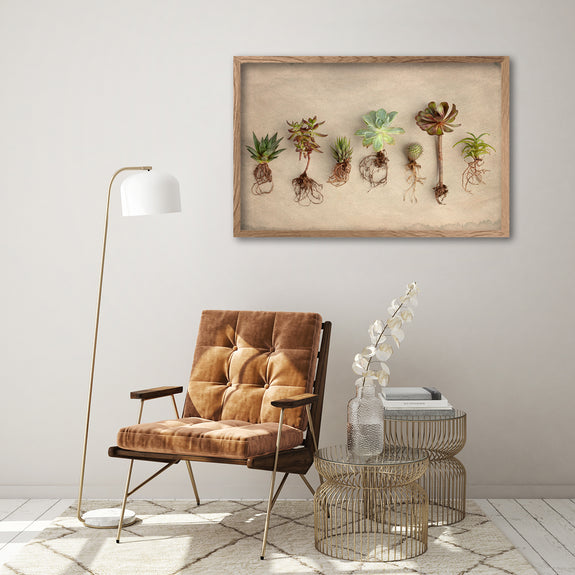 Succulent Study - 1x Large Art Print (L)